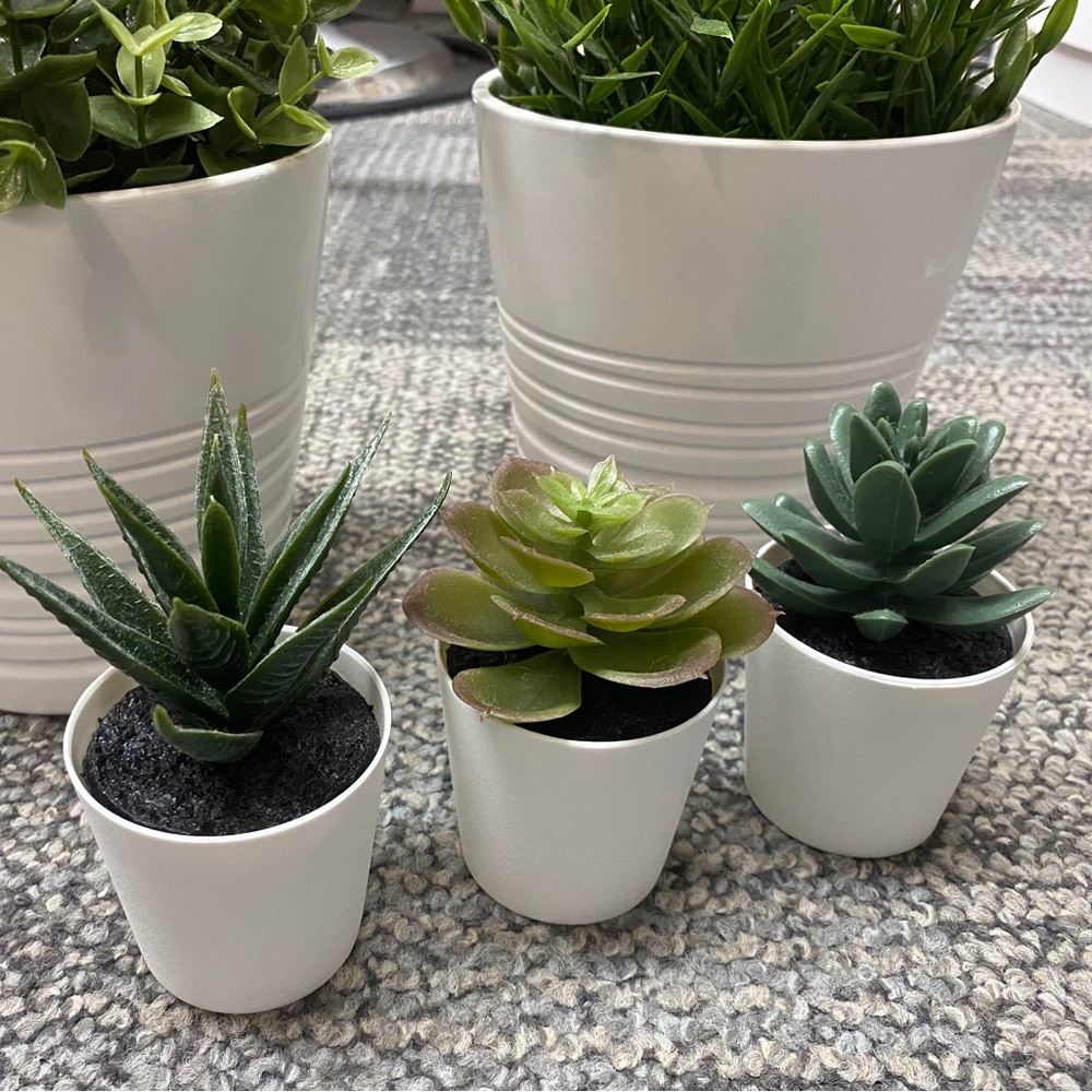 🪴3 PACK Succulent🪴 Artificial Potted Plant Succulent 3 Pack Home Decor Cactus
